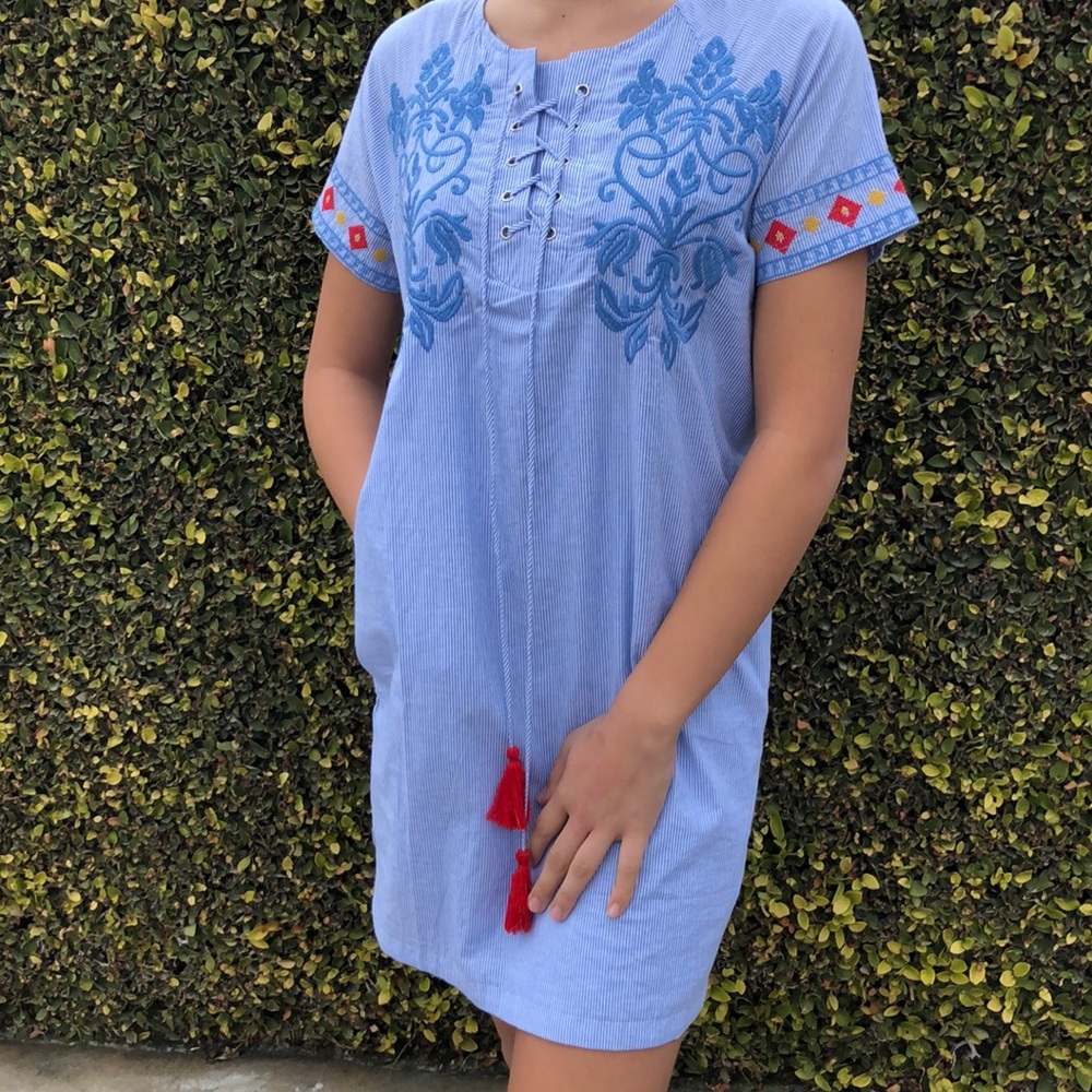 blue pinstrip tunic dress with embroidery